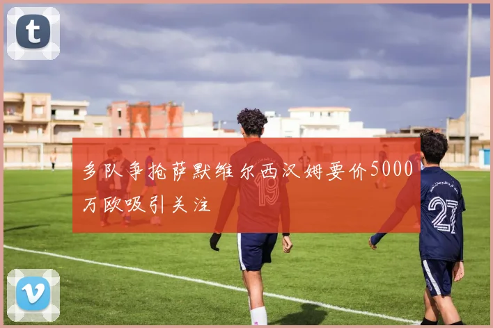 多队争抢萨默维尔西汉姆要价5000万欧吸引关注