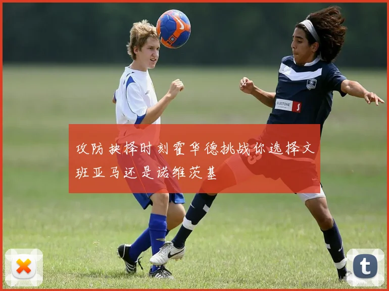 攻防抉择时刻霍华德挑战你选择文班亚马还是诺维茨基